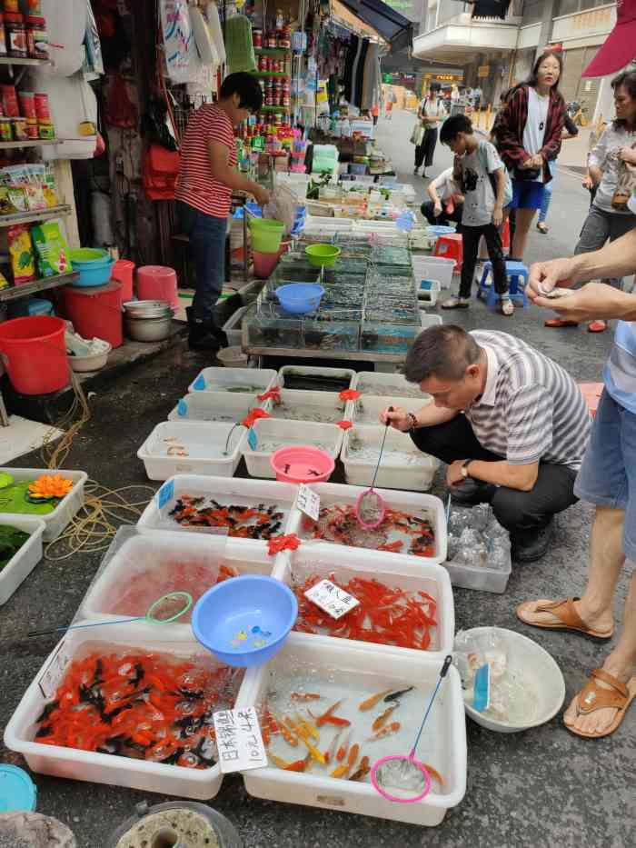 清平路水族市场"清平路水族市场,上下九步行街后面的一个小.