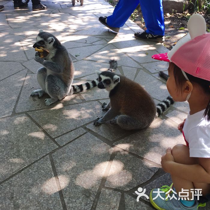 上海野生动物园