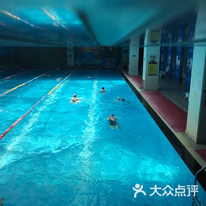 蓝鲸游泳培训中心图片-北京游泳馆-大众点评网