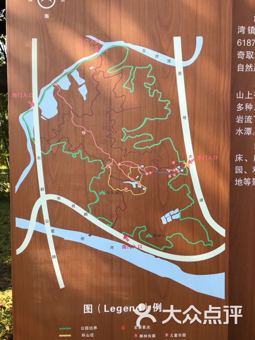 滴水岩森林公园图片 - 第77张