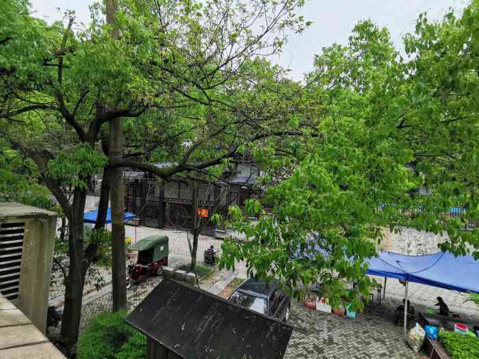 石峰公园-"上次去石峰公园搞烧烤.四点到的,买了好多.