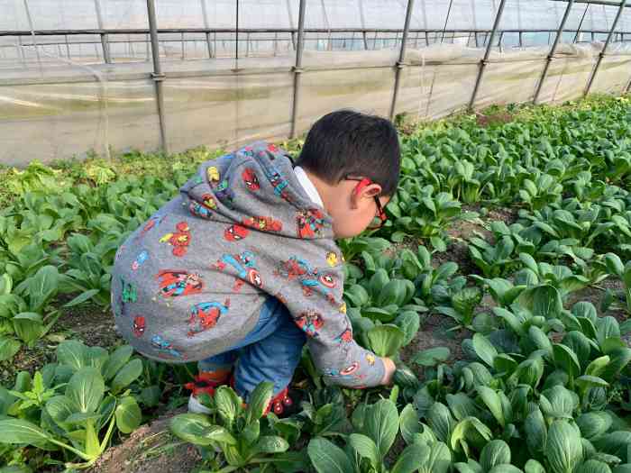 百蒂凯现代农业生态园-"外婆平台买的券,50元两大一小