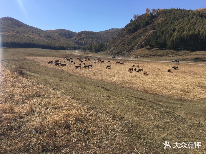 赤峰美林谷四季山度假酒店-环境景观图片-喀喇沁旗酒店-大众点评网