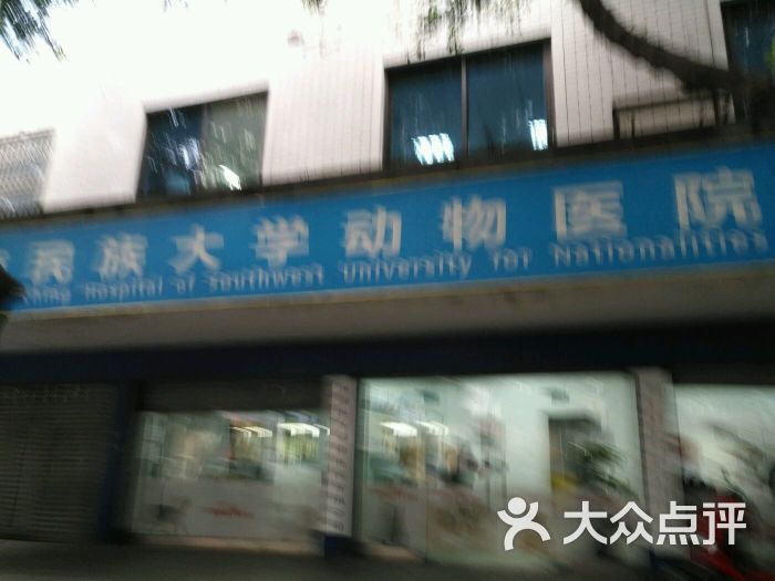 西南民族大学动物医院图片 - 第4张