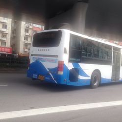 公交车(石川专线)地址,电话,营业时间-上海生活