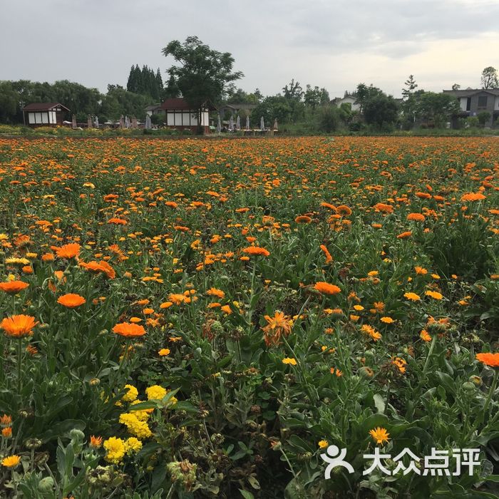 香草湖湿地公园