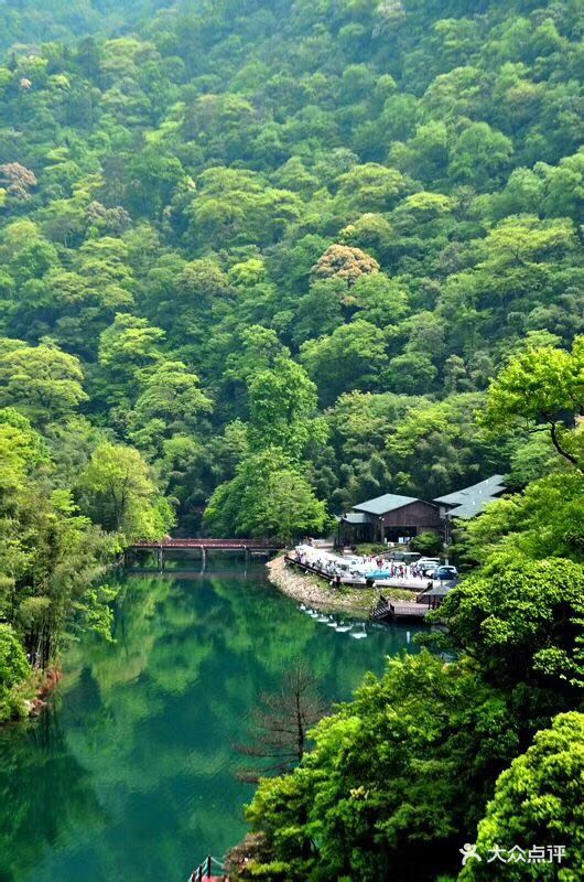 祁门牯牛降风景区图片 - 第19张