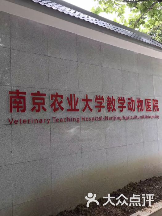 南京农业大学动物医学院附属动物医院图片 - 第4张