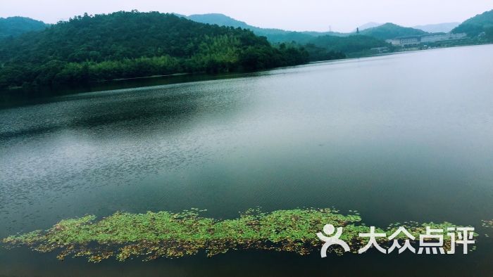 荪湖水库-图片-宁波周边游-大众点评网