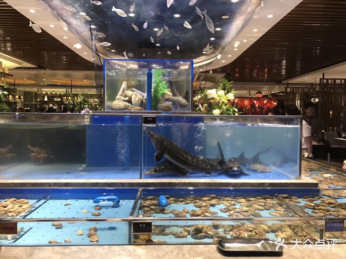 观宴·海鲜美学主题自助餐厅-图片-天津美食-大众点评网