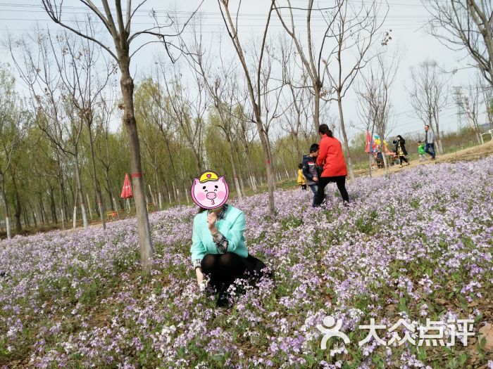 上善公园-图片-滕州市周边游-大众点评网