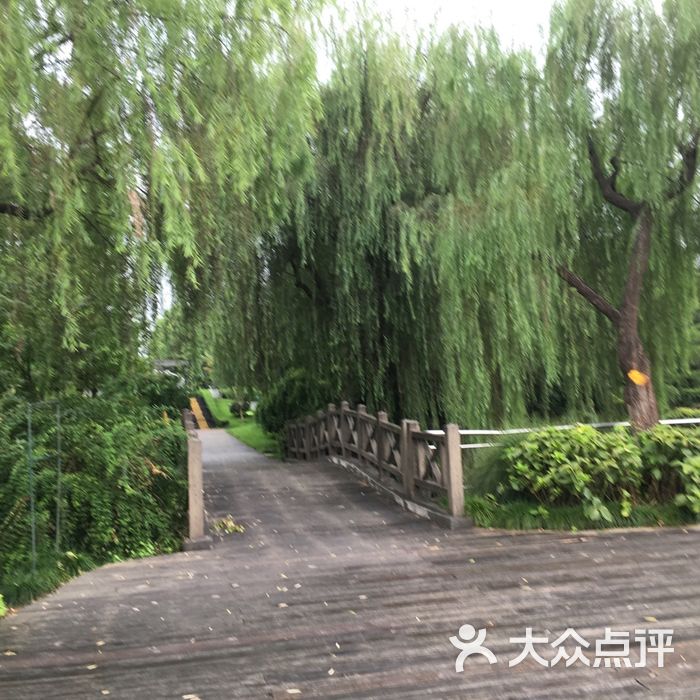 济阳公园