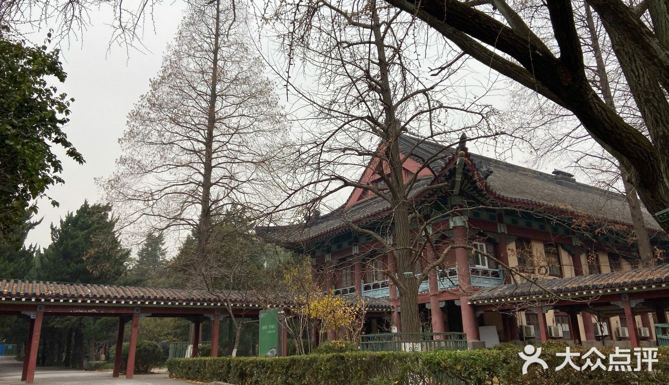 南京最美的大学一定是老校区 随园校区就能淋漓尽致地体现