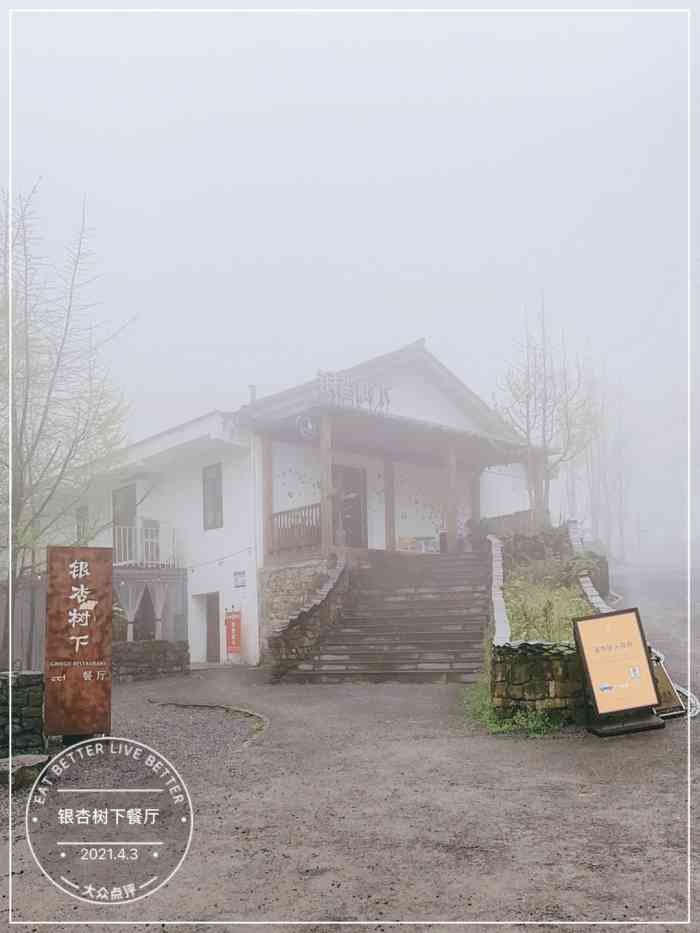 银杏树下餐厅-"山王坪最漂亮的民宿之一!环境太好了! .