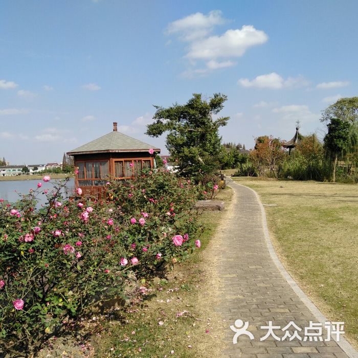 鹅湖玫瑰文化园