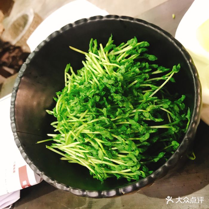 熊猫老灶火锅(延安西路店)青豆苗图片