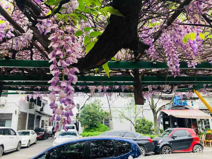 吉庆街88号停车场-"78989978一场春雨一场暖