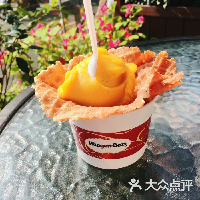 哈根达斯(吴江路店)芒果雪芭雪泥单球杯图片 第1张