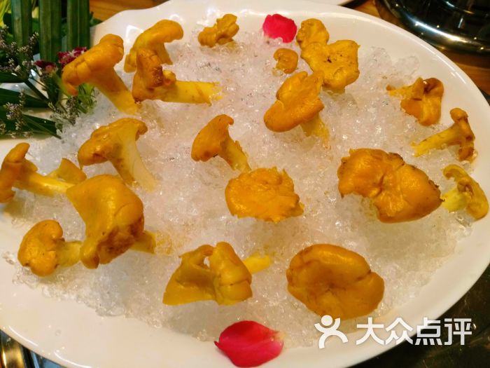 鸡油黄菌