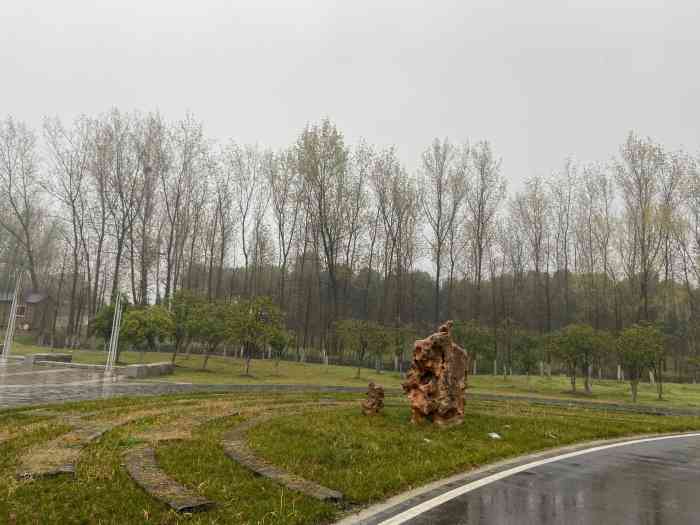 府河郊野公园-"去的时候真的是好多人在这里烧烤,而且