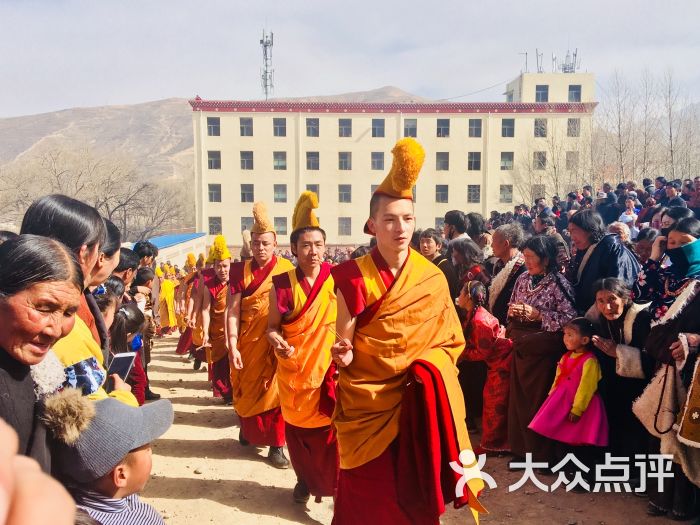 隆务寺-景点图片-同仁县周边游-大众点评网