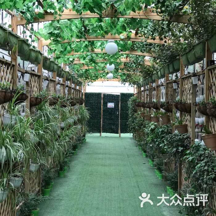 桂峰台农种植园图片-北京自然风光-大众点评网