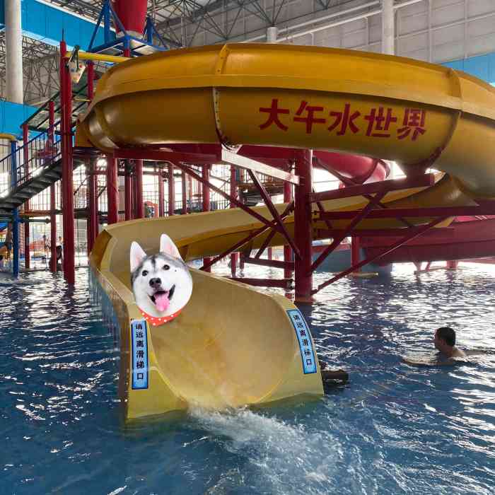 大午温泉水世界"很棒的一次体验 一家三口9869996996.