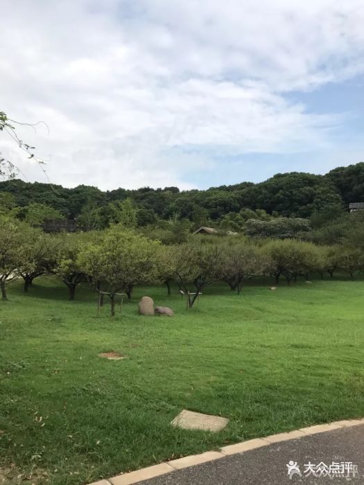 苏州上方山国家森林公园图片 - 第59张
