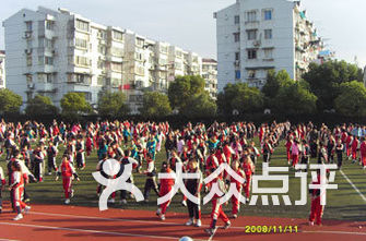 宝山区小学排名