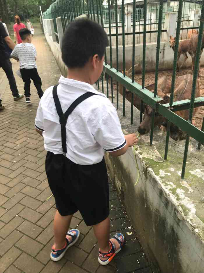 雨山湖公园动物园