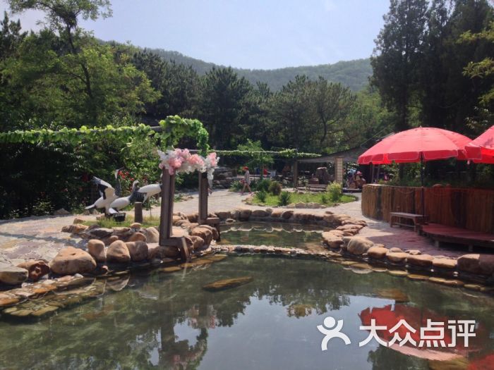 香格里汤泉宫温泉酒店图片 - 第16张