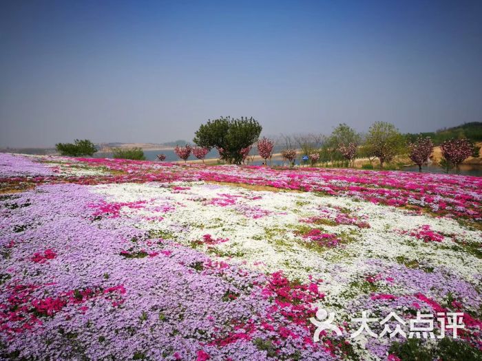 日照花仙子风景区图片 - 第10张