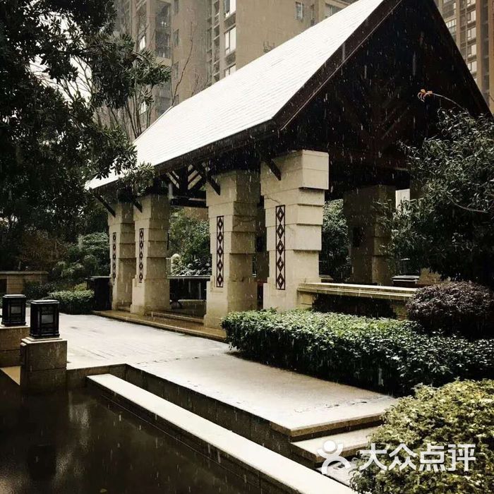 大华滨江天地一期铂金郦府