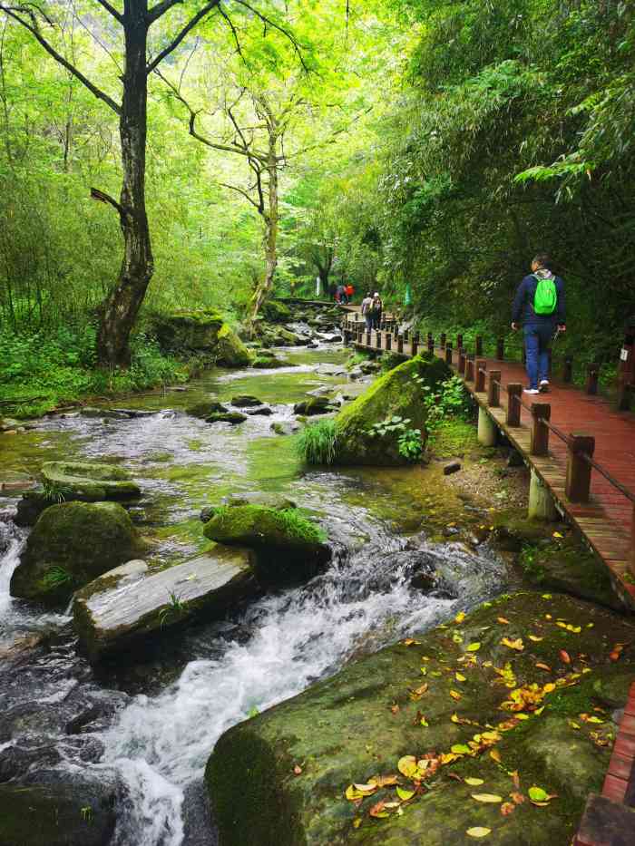 平利桃花溪景区-"桃花溪,位于安康平利县广佛镇,开车.