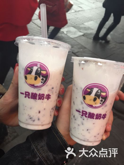 一只酸奶牛(磁器口店)-图片-重庆美食-大众点评网