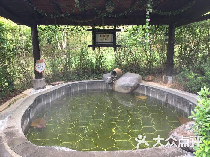 宁乡紫龙湾温泉度假区酒店图片 - 第121张