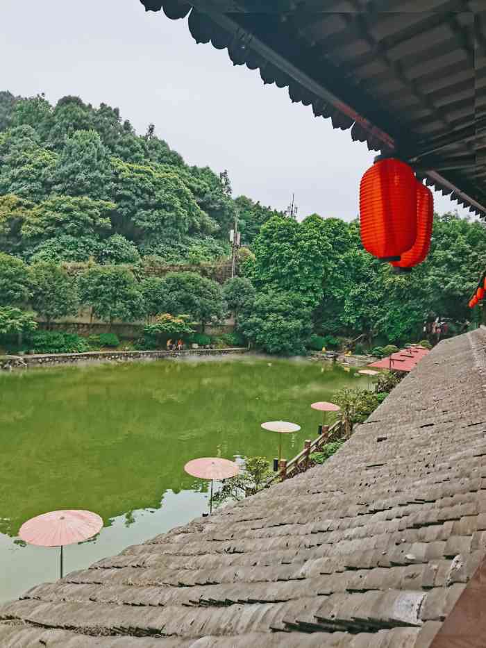 枫香园度假酒店-"隐藏在主城歌乐山脉的世外桃源.从各