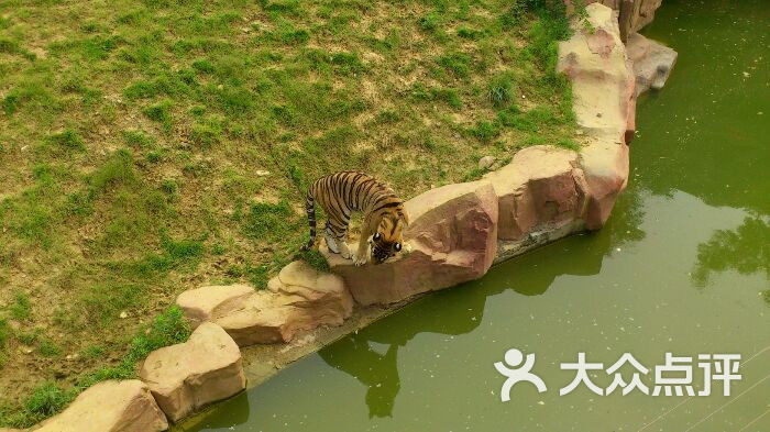 无锡动物园·太湖欢乐园图片 第6张