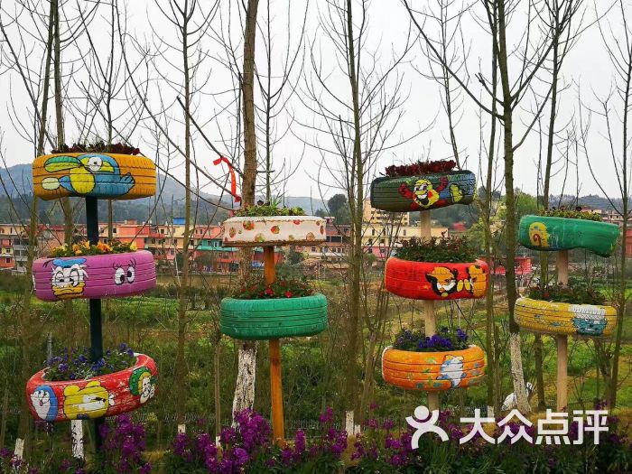 凯光新天地新余亚热带植物园图片 - 第47张