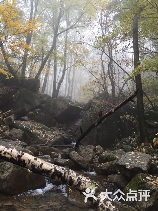 唯一的好处就是可以开车上去,车收费60元,.-雾