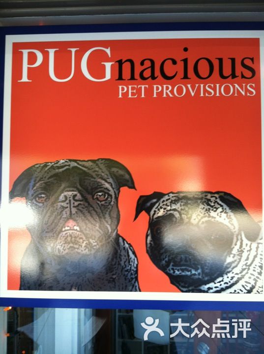 pugnacious pet supplies图片 - 第1张