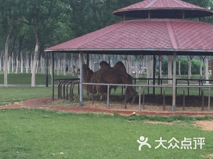 松江乡村马术俱乐部图片 - 第56张