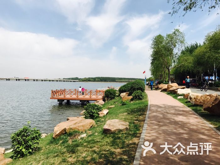 丁香湖公园景点图片 - 第2张