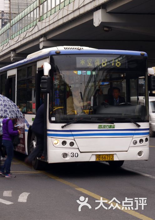 公交车(816路)-图片-上海生活服务-大众点评网