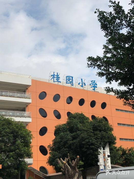 深圳市桂园小学图片 第3张