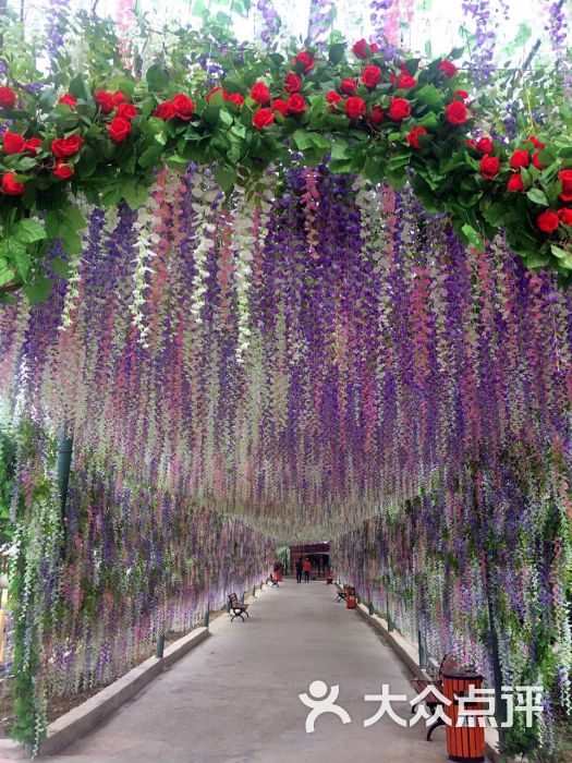 藤蔓花走廊