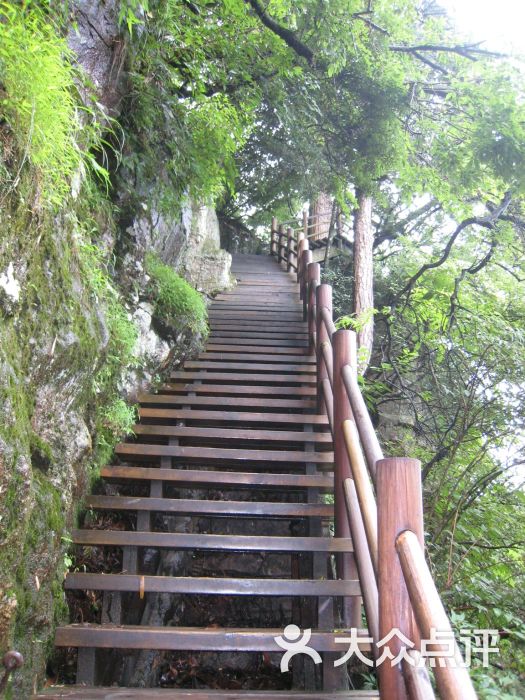 天目山大树王景区图片 - 第3张