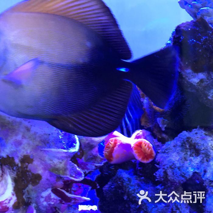 徐州水族展览馆