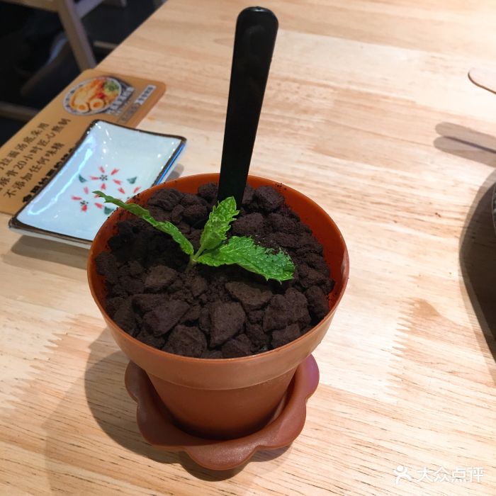 雷门拉面(卓悦汇店)盆栽冰淇淋图片 - 第730张