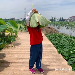 【莲泗荡风景区】电话,地址,价格,营业时间(图 嘉兴周边游 大众